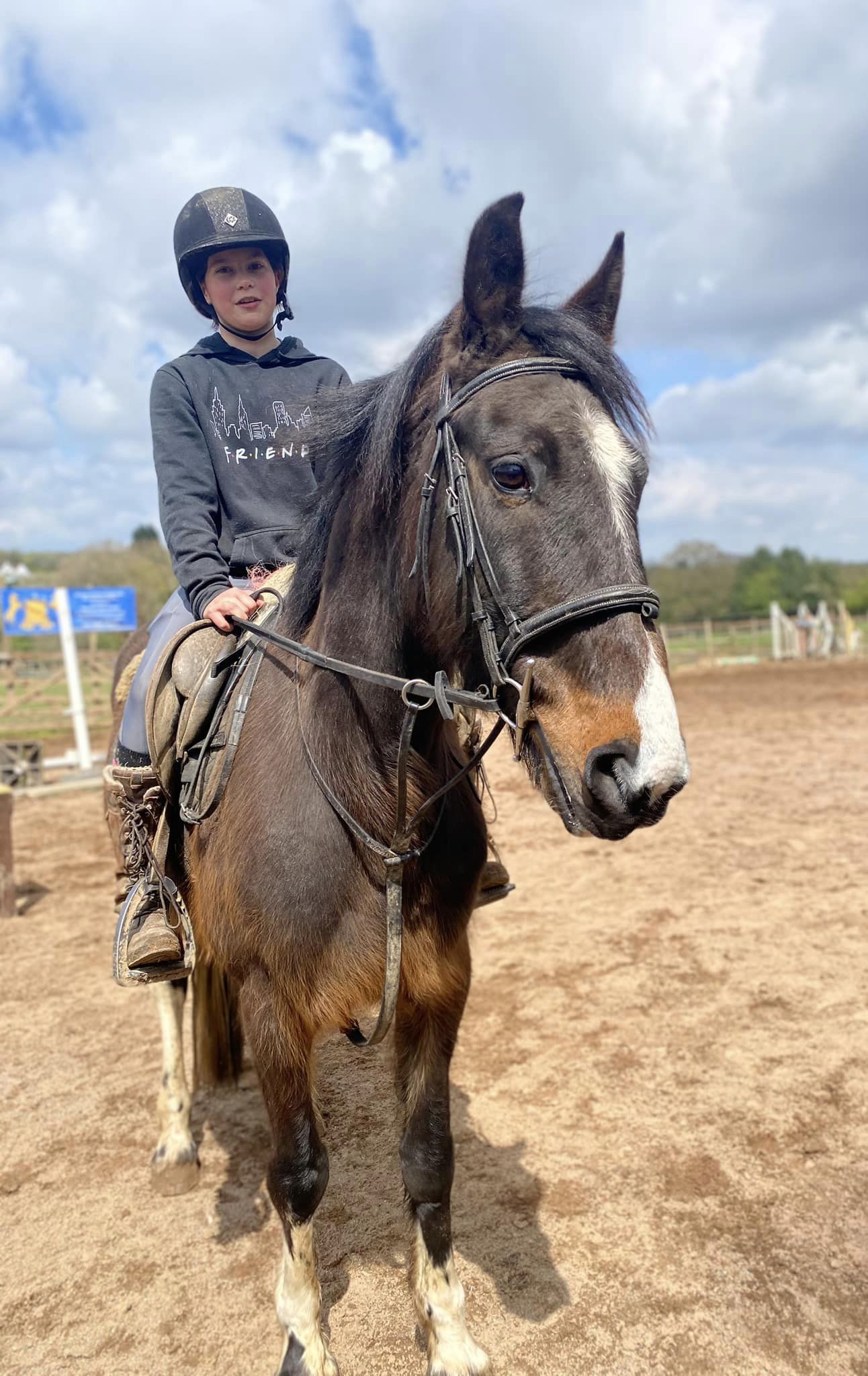 ⭐️⭐️DELBOY⭐️⭐️ Approx 15.1hh 12yr old  Sport horse type gelding - SOLD