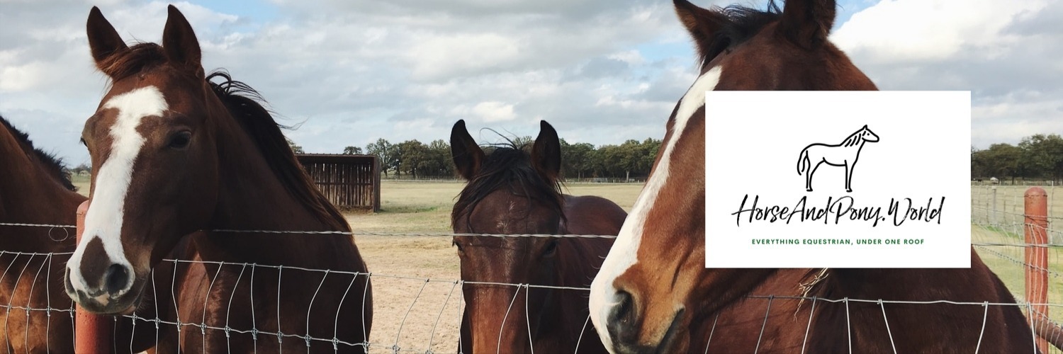 So You Bought Your First Horse: What Do You Need To Know?